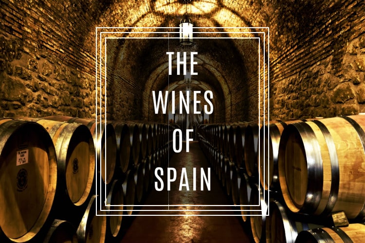 The Wines of Spain! Citylife Madrid