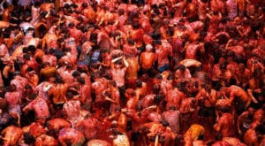 la tomatina