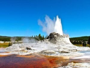 yellowstone tours