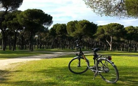 scooter tour madrid