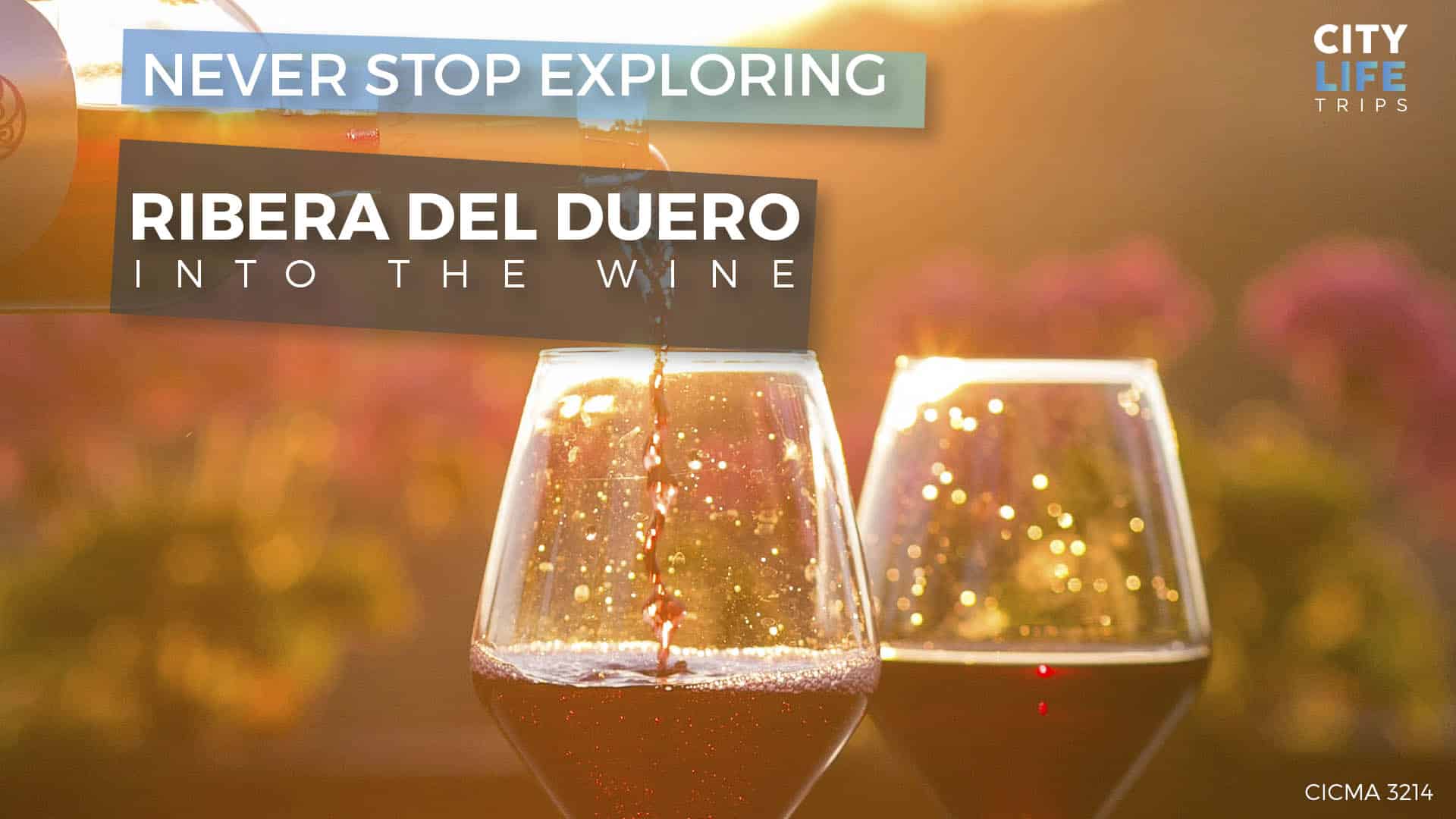 Into the Wine #2 – Ribera del Duero & Burgos