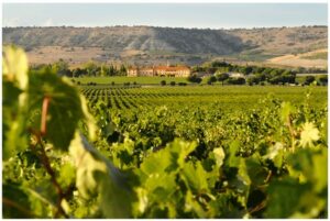 ribera-duero-G