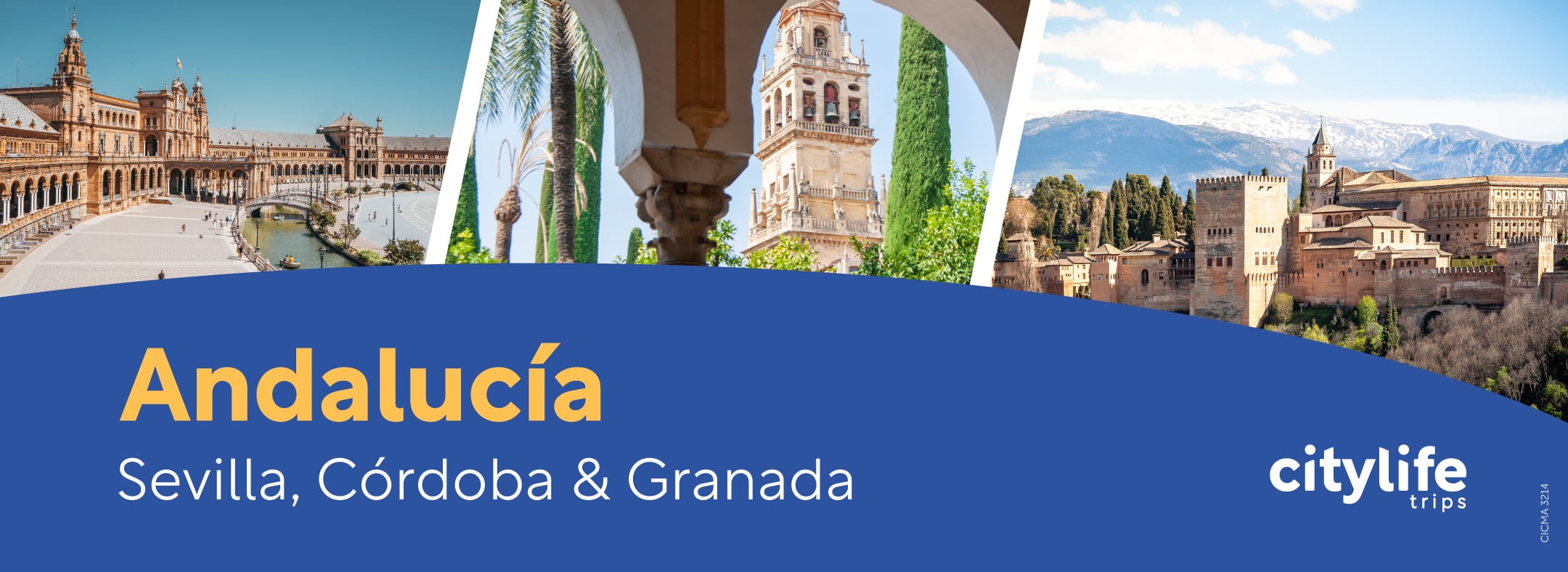 web-andalucia-sevilla-cordoba-granada-flamenco