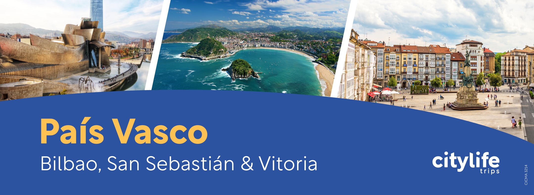 web-pais-vasco-bilbao-san-sebastian-vitoria-pinxos